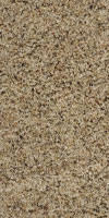 Taupe Nitro X joint sand swatch